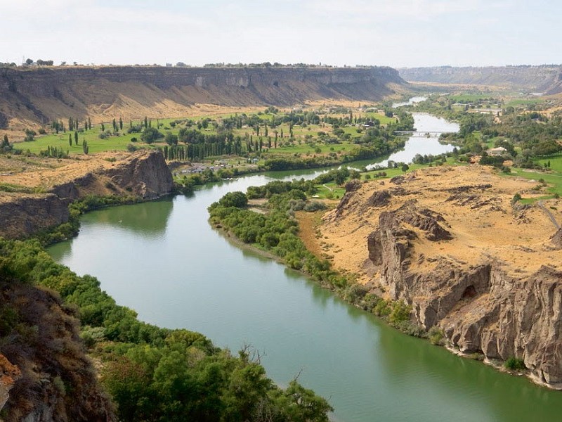 Columbia River “Humpy”