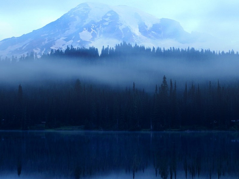 Pacific Northwest “Bearpaw”