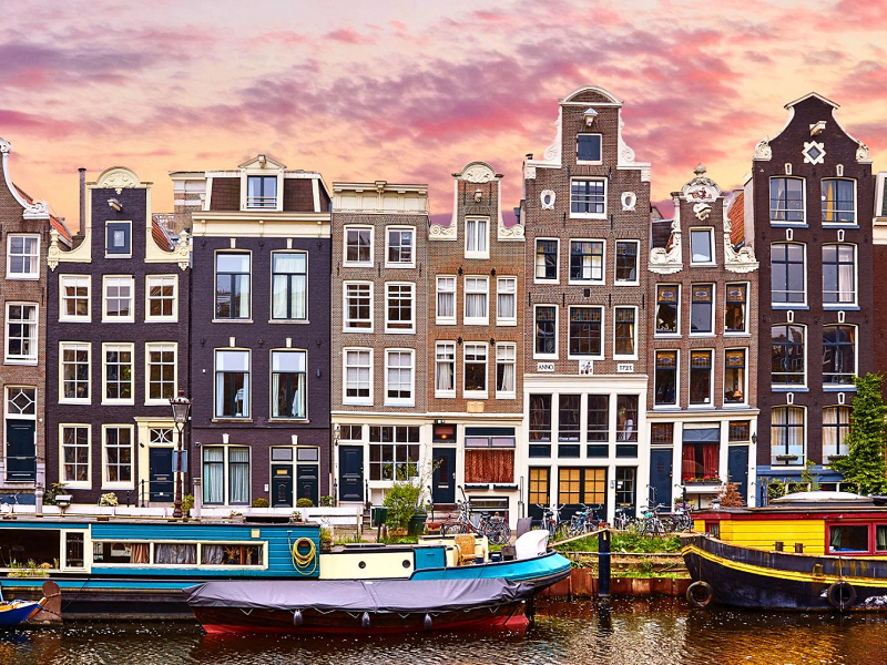 Netherlands “Tulip”